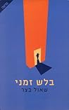 בלש זמני (מיכאל קריגר #1)