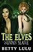 The Elves Human Slave: BOOK 2: The Second in the Series