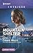 Mountain Shelter (Harlequin Intrigue)