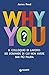 Why You?: II colloquio di lavoro: 101 domande di cui non avere mai più paura (Italian Edition)