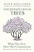 The Hidden Life of Trees: What They Feel, How They Communicate—Discoveries from a Secret World