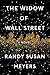 The Widow of Wall Street by Randy Susan Meyers