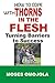How To Cope With Thorns In The Flesh: Turning Barriers To Success (How to Pray to God, Deliverance Prayers, Spiritual Warfare Prayers, Symptoms of Depression, Severe Depression, Health Tips)