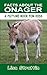 Facts About the Onager (A Picture Book For Kids 125)
