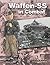 Waffen-SS in Combat