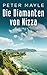 Die Diamanten von Nizza: Roman (German Edition)