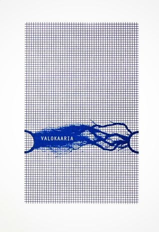 Valokaaria
