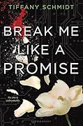 Break Me Like a Promise