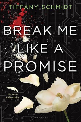 Break Me Like a Promise (Once Upon a Crime Family, #2)