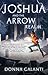 Joshua and the Arrow Realm (Lightning Road Book 2)