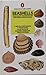 Seashells: Bivalves of the ...
