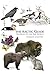 The Arctic Guide: Wildlife ...