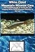 White Cloud Mountain Minnow Care: The Complete Guide to Caring for and Keeping White Cloud Mountain Minnow as Pet Fish (best Fish Care Practices)