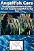 Angelfish Care: The Complete Guide to Caring for and Keeping Angelfish as Pet Fish (Best Fish Care Practices)