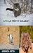 CATS: A PHOTO GALLERY