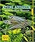 Kleine Aquarien: 60 Liter spannender Lebensraum