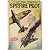 Spitfire  Pilot (A Lucky Te...