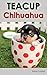 Chihuahua: Teacup Chihuahua