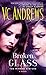 Broken Glass (The Mirror Sisters, #2)