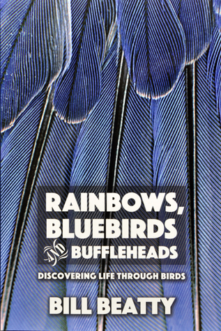 Rainbows, Bluebirds and Buffleheads Discovering Life Through Birds