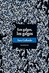 Los galgos, los g...