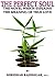 THE PERFECT SOUL