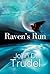 Raven's Run: A Cybertech Thriller