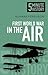 First World War in the Air:...
