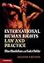 International Human Rights Law and Practice