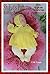 Knitting pattern - KP352 - ...