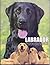 Labrador: Most Intellingent...