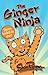 The Ginger Ninja: Can our hero, Ginger, ever make friends with the school bully? (Shoo Rayner)