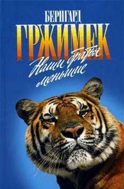Мы вовсе не такие