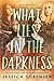 What Lies in the Darkness (Shadow Cove #1)