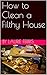 How to Clean a Filthy House by Laurie Ferris