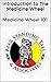 Introduction to The Medicine Wheel by Pamela Carter