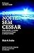 Dia e Noite Sem Cessar: Com...