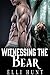 Witnessing the Bear by Elli Hunt