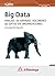 Big Data - Análisis de grandes volúmenes de datos en organizaciones (Spanish Edition)