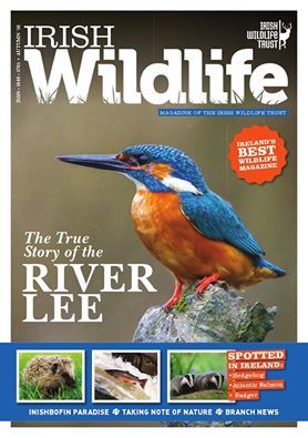 Irish Wildlife (Autumn 2016)
