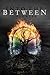 Into the Between (The Betwe...