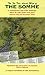 The Fir Tree Aerial Map of ...