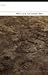 Dirt by William Letford