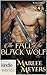 The Fall of the Black Wolf by Marlee Meyers