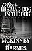 After the Mad Dog in the Fog (Schildmaids Saga #1.2)