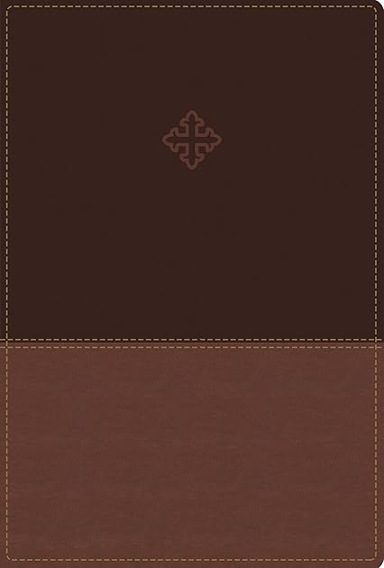 Amplified Study Bible