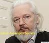 Julian Assange's ...
