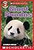 Giant Pandas