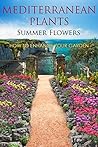Mediterranean Plants Summer Flowers: How To Enhance Your Garden Mediterranean Plants Summer Flowers: How To Enhance Your Garden