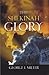 The Shekinah Glory